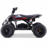XTM RIFT FR1500 48V 1500W LITHIUM YOUTH ATV QUAD BIKE RED