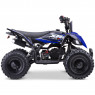 XTM REAPER R50 PETROL 50cc QUAD BIKE BLUE 