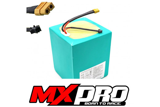 XTREME ELECTRIC XTM MX-PRO 48V 1300W LITHIUM REPLACEMENT BATTERY